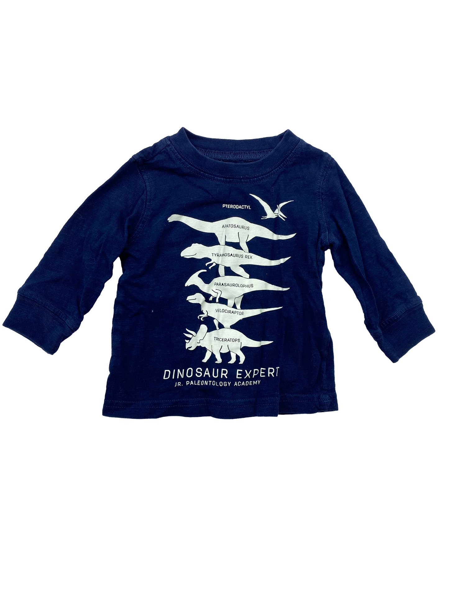 Carter's Blue Long Sleeve Shirt with Glow-In-The-Dark Dinosaurs 3M