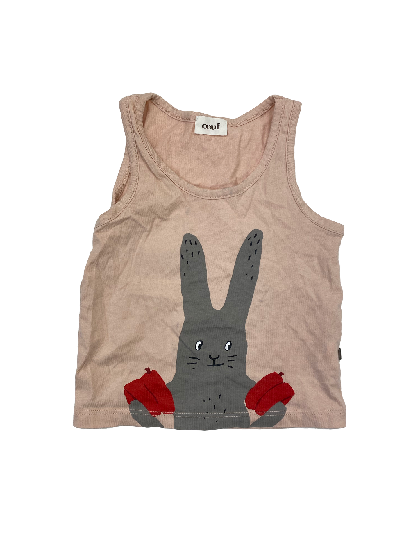 ❗️Stain: Oeuf Pink Tank Top with Bunny in Water Wings 18M