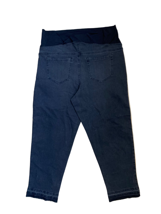 BNWT Paisley Sky Maternity Jeans Lg