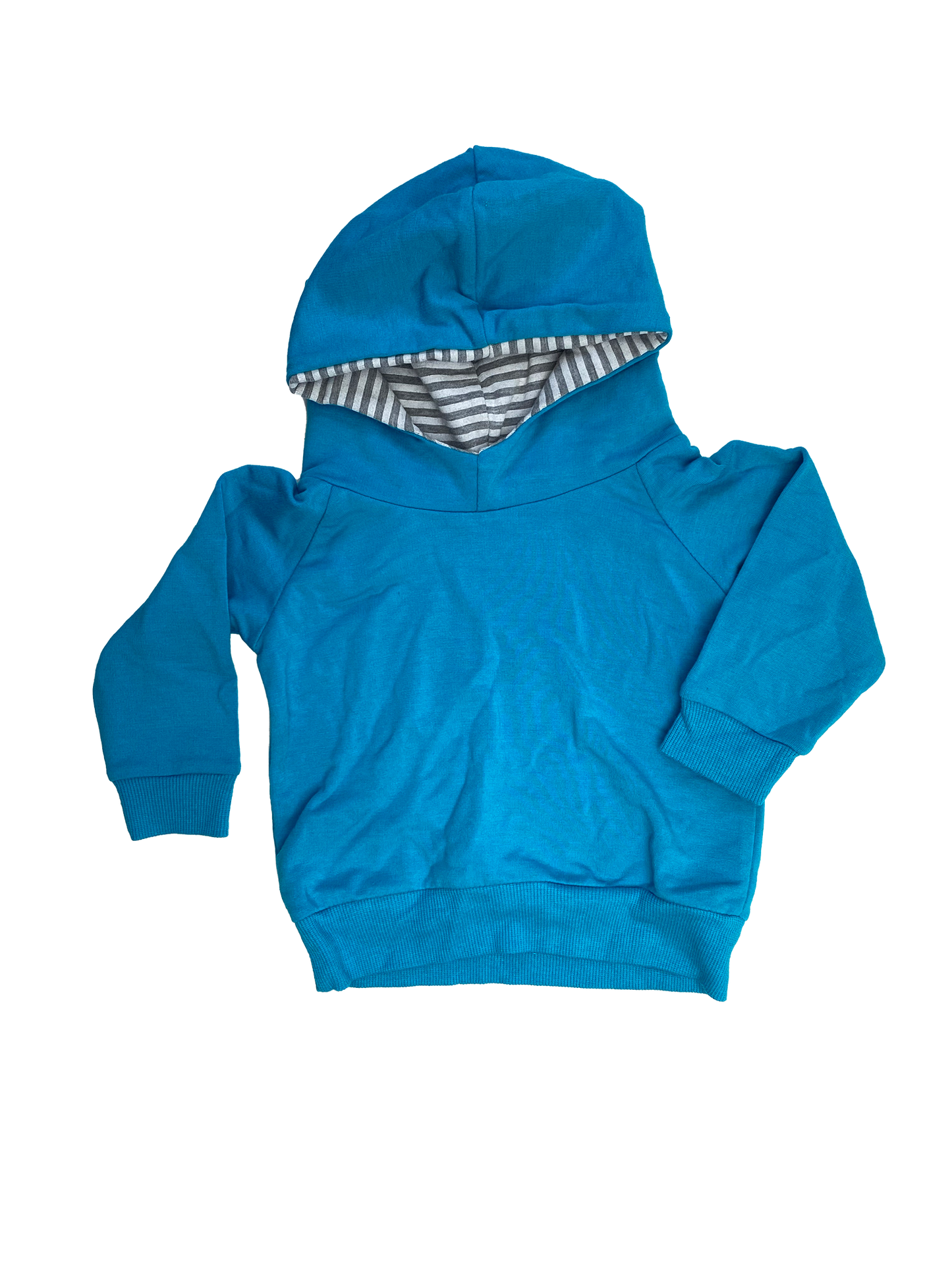 BNWT Portage and Main Hoodie 6-12M