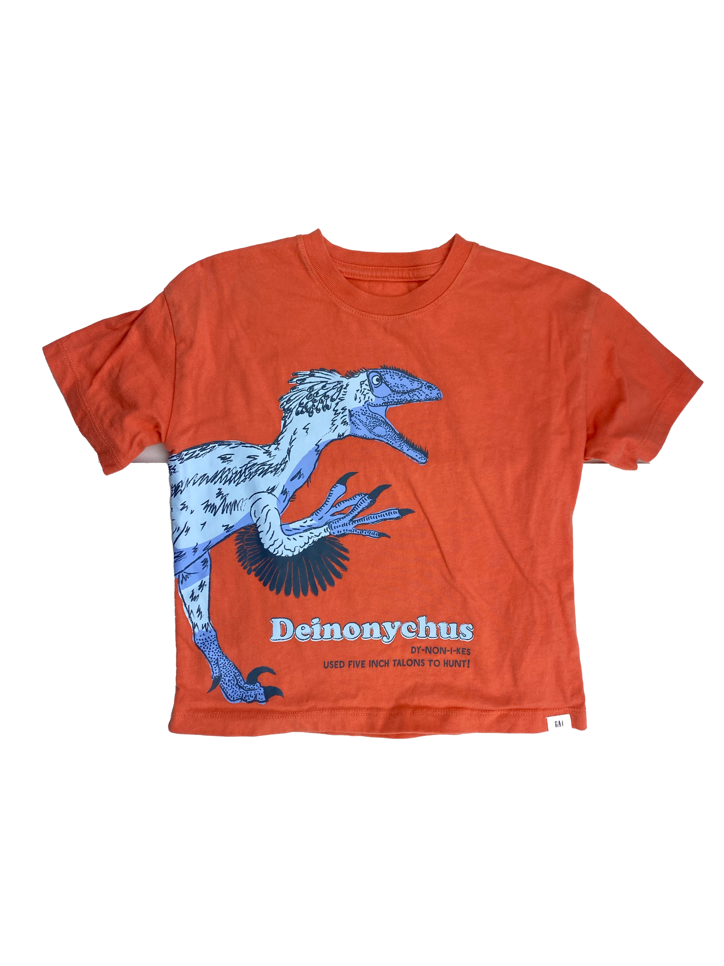 Baby Gap Orange T-Shirt with Dinosaur & Hawk 4T