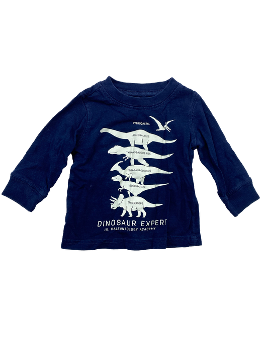 Carter's Blue Long Sleeve Shirt with Glow-In-The-Dark Dinosaurs 3M