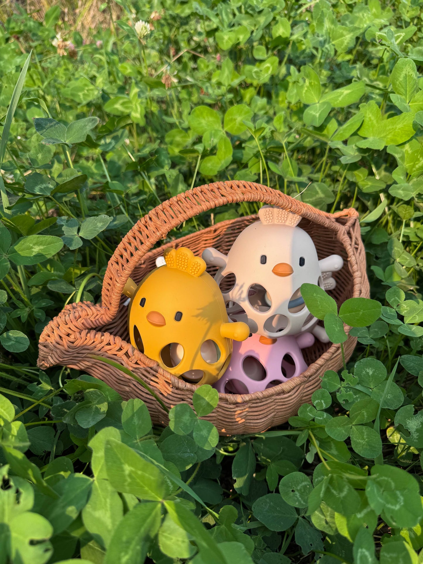 New Clucky Chew Buddy