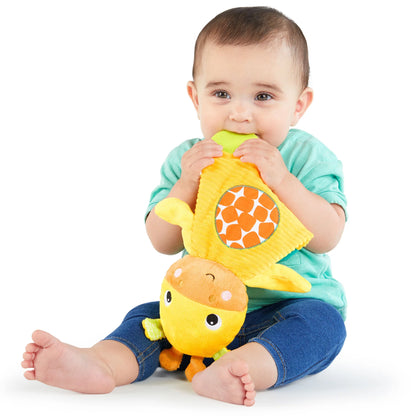 Bright Starts Snuggle & Teethe