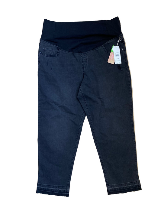 BNWT Paisley Sky Maternity Jeans Lg