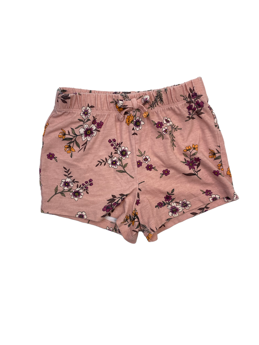 The Children's Place Shorts 3T