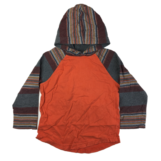 Gymboree Orange Hooded Long Sleeve 4